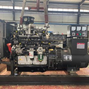 濰坊聯動國三柴油發電機組50kw